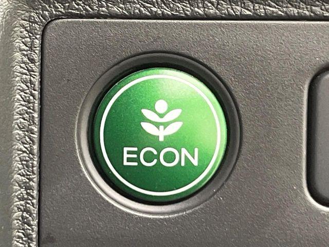 ヴェゼル(新潟県新潟市南区)