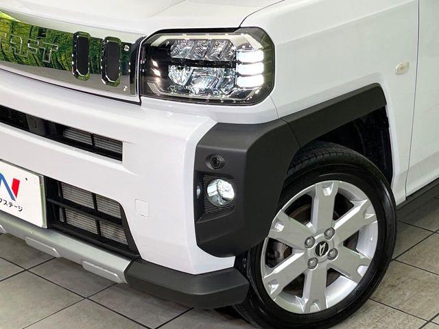 タフト（新潟県新潟市東区）画像12