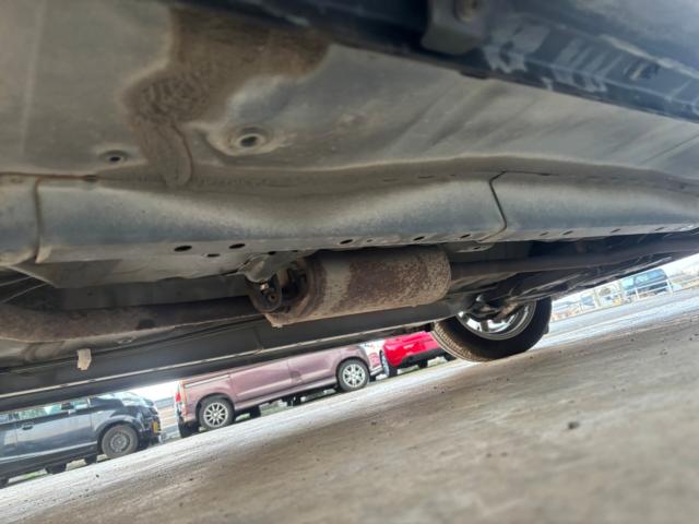 ステラ（新潟県新潟市北区）