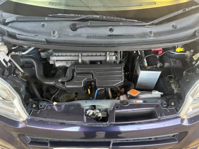 ステラ（新潟県新潟市北区）