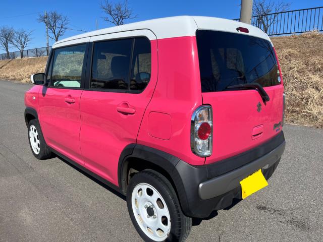 ハスラー（新潟県新潟市東区）画像4