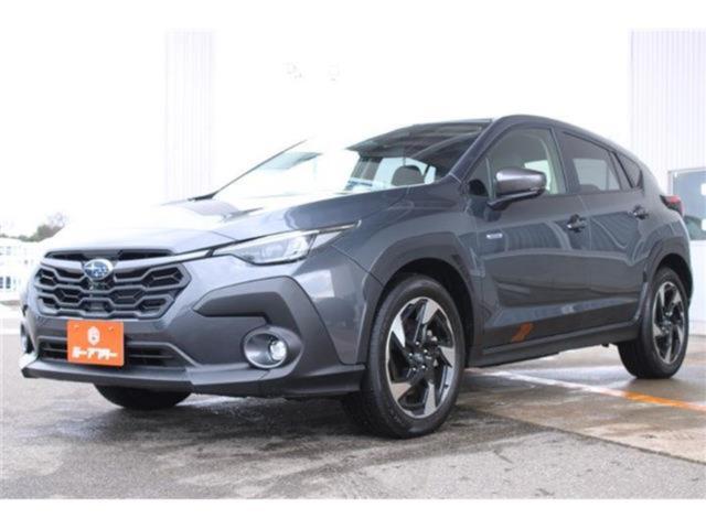 クロストレック（新潟県新潟市東区）画像9