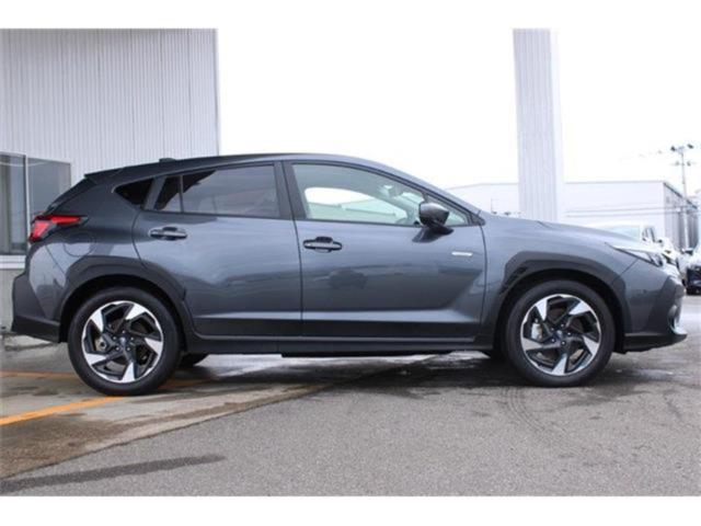 クロストレック（新潟県新潟市東区）画像14