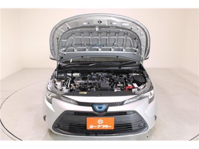 カローラツーリング(新潟県新潟市東区)