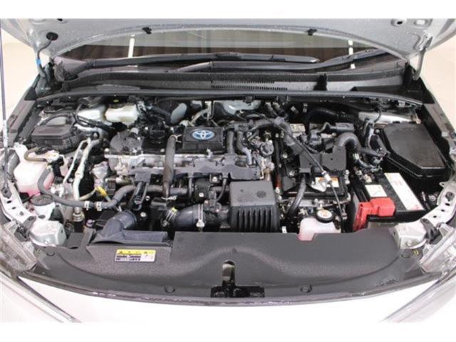 カローラツーリング(新潟県新潟市東区)