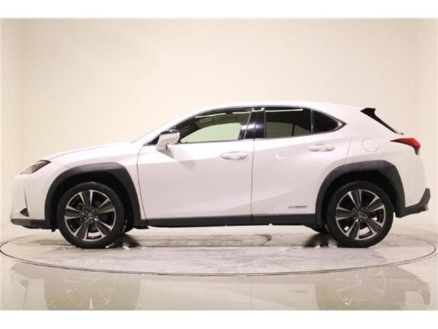 レクサスUX(新潟県新潟市東区)