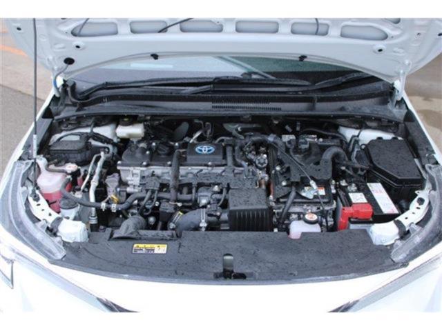 カローラツーリング（新潟県新潟市東区）画像71