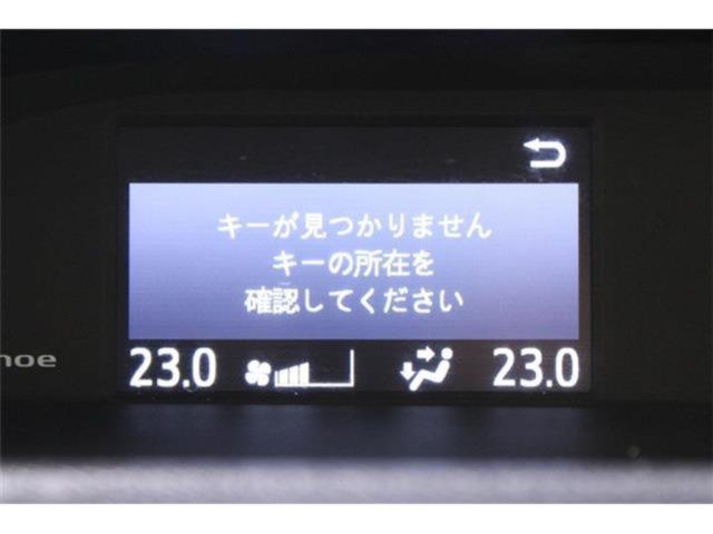 ヴォクシー（新潟県新潟市東区）