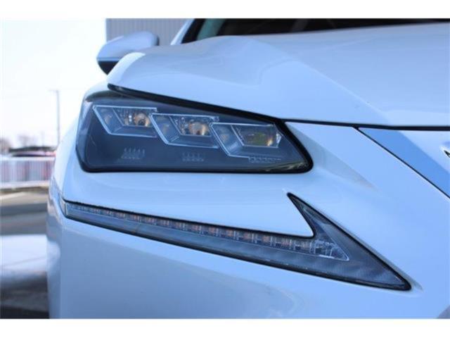 レクサスＮＸ（新潟県新潟市東区）画像18