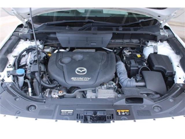 CX-5（新潟県新潟市東区）