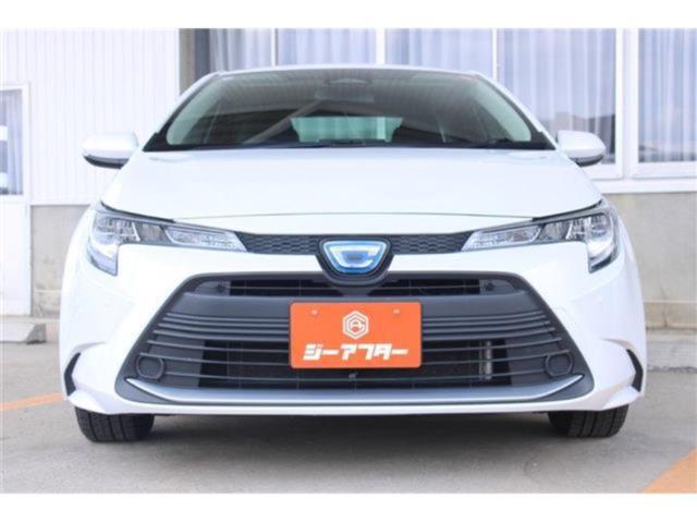 カローラ（新潟県新潟市東区）