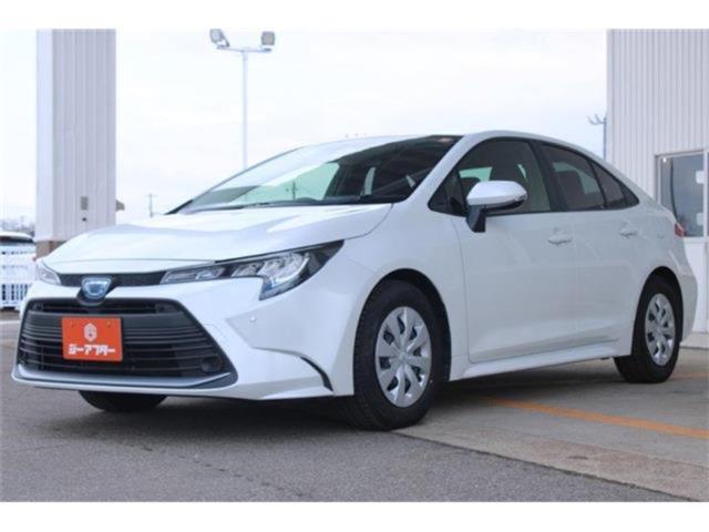 カローラ（新潟県新潟市東区）