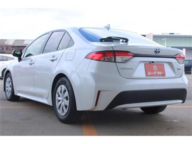 カローラ（新潟県新潟市東区）