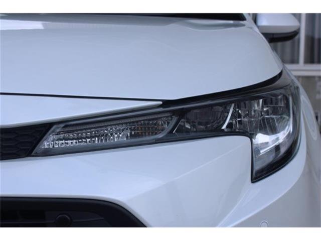 カローラ（新潟県新潟市東区）