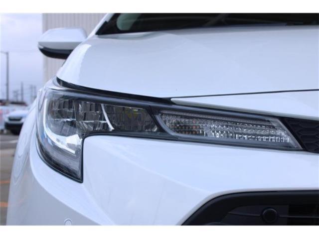 カローラ（新潟県新潟市東区）