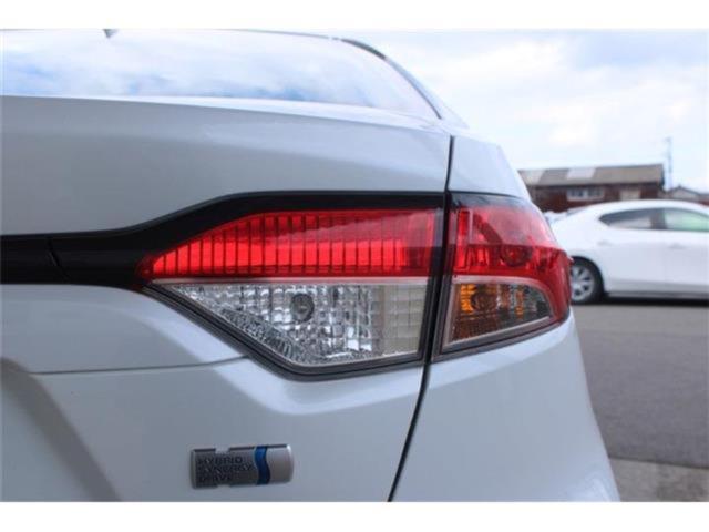 カローラ（新潟県新潟市東区）