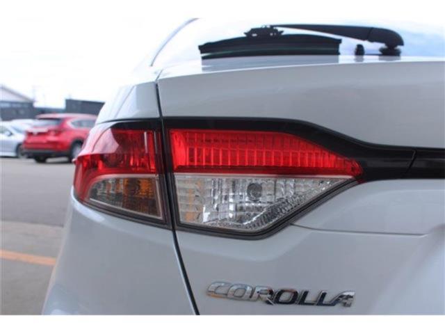 カローラ（新潟県新潟市東区）