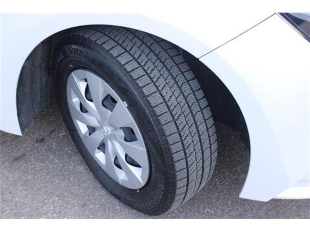 カローラ（新潟県新潟市東区）