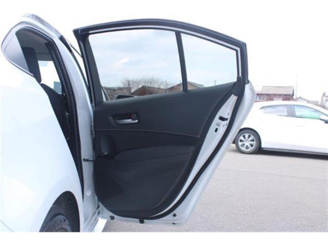 カローラ（新潟県新潟市東区）