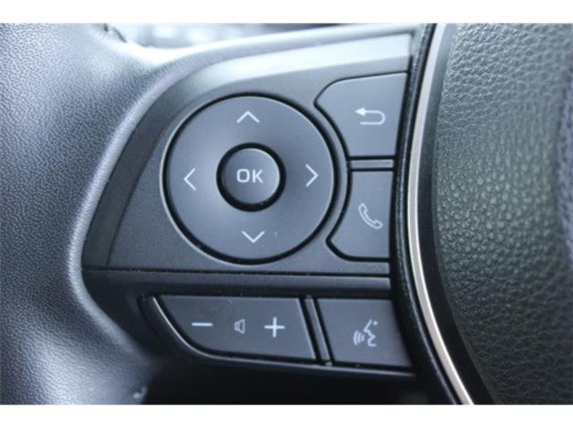 カローラ（新潟県新潟市東区）