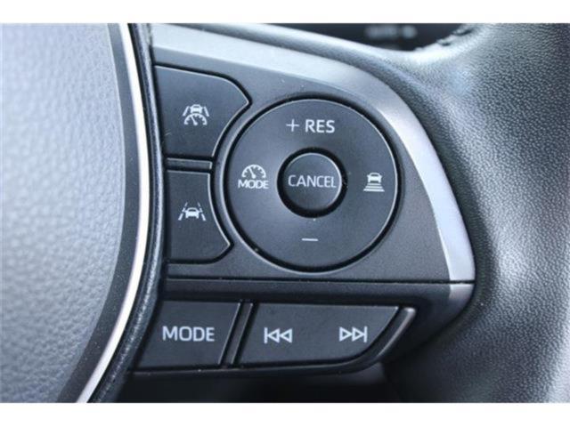 カローラ（新潟県新潟市東区）