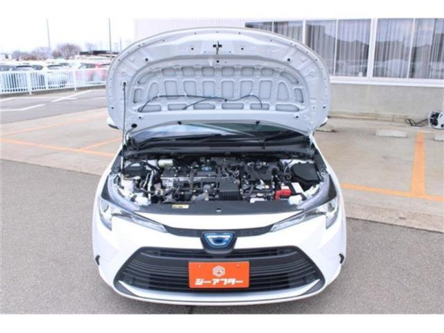 カローラ（新潟県新潟市東区）