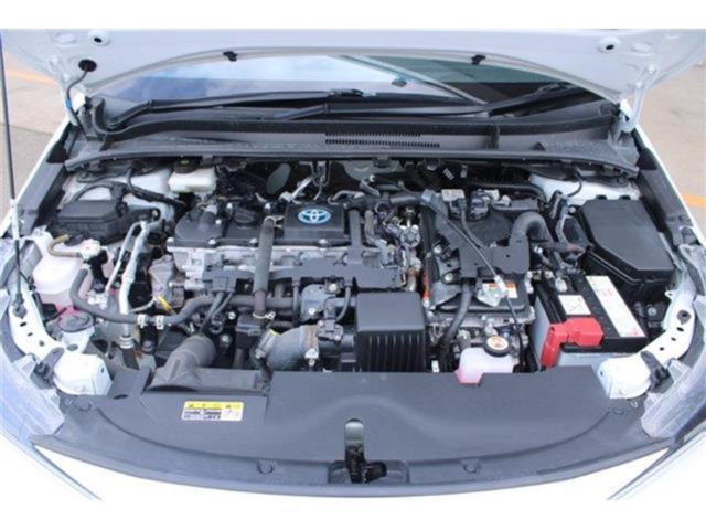 カローラ（新潟県新潟市東区）