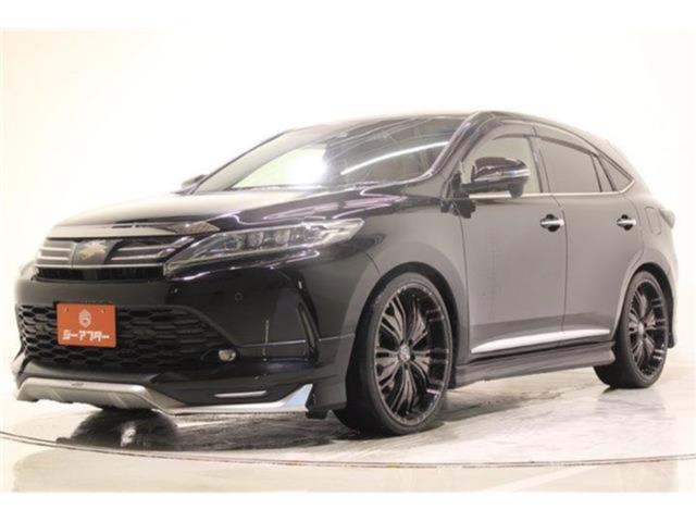 ハリアー（新潟県新潟市東区）