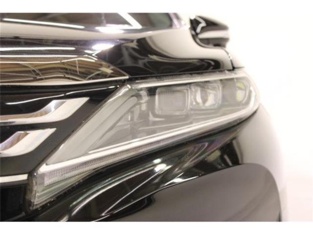 ハリアー（新潟県新潟市東区）