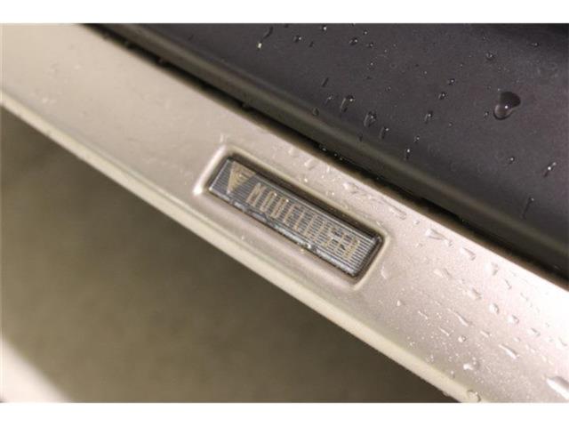 ハリアー（新潟県新潟市東区）