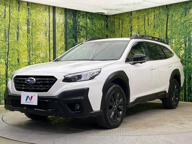 アウトバック（新潟県新潟市南区）画像29