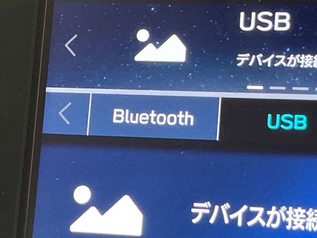 アウトバック（新潟県新潟市南区）画像62