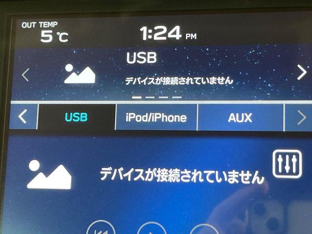 アウトバック（新潟県新潟市南区）画像63