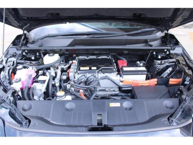 bZ4X（新潟県新潟市東区）