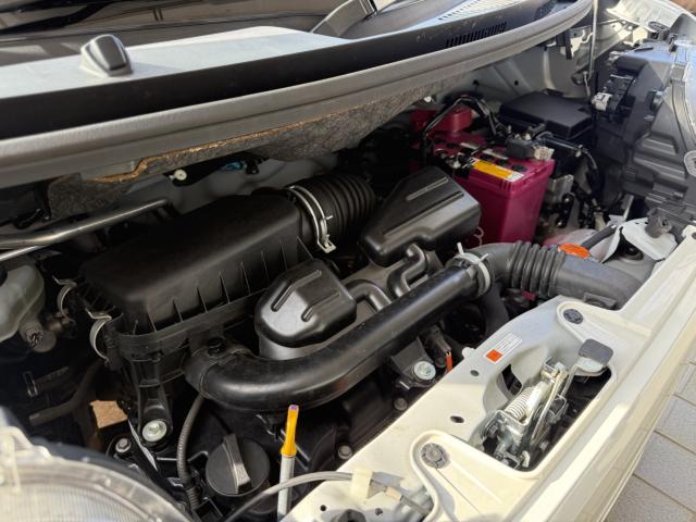 タント(新潟県長岡市)