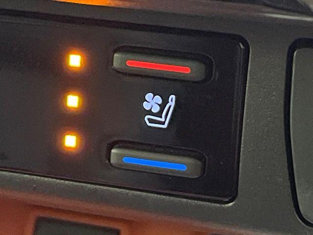 ＲＡＶ４（新潟県新潟市南区）