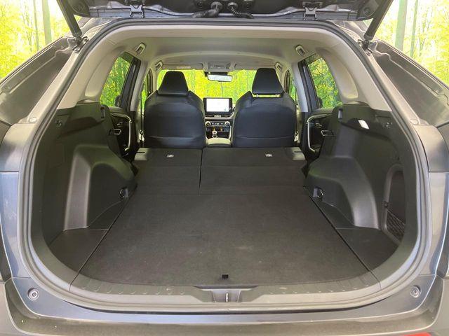 ＲＡＶ４（新潟県新潟市南区）