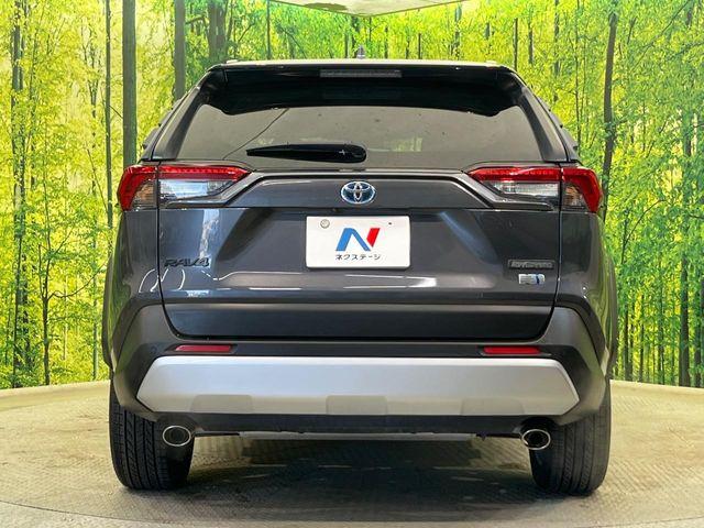 ＲＡＶ４（新潟県新潟市南区）