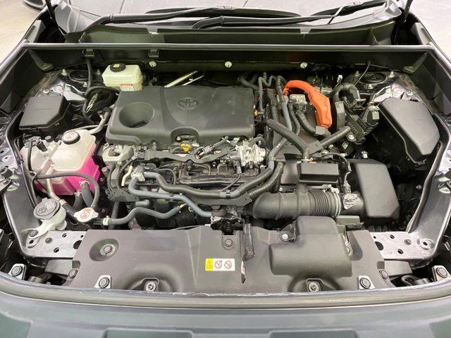 ＲＡＶ４（新潟県新潟市南区）