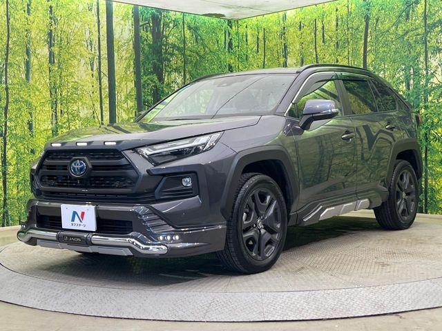 ＲＡＶ４（新潟県新潟市南区）