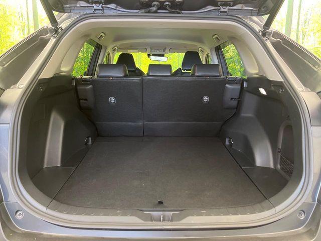 ＲＡＶ４（新潟県新潟市南区）