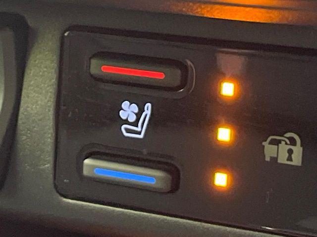 ＲＡＶ４（新潟県新潟市南区）