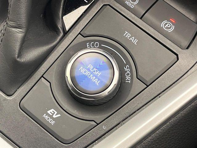 ＲＡＶ４（新潟県新潟市南区）