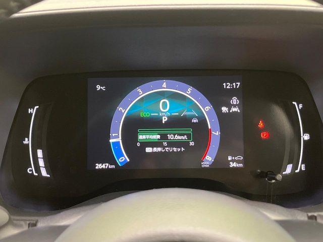 シエンタ(新潟県新潟市南区)