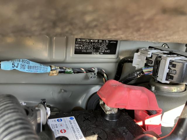 タント(新潟県新潟市西蒲区)