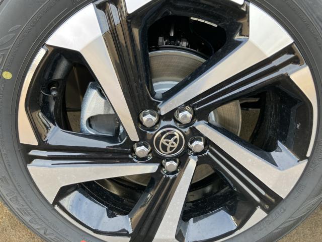 ライズ（新潟県新潟市南区）画像34