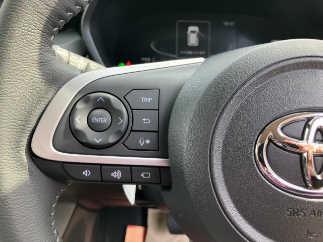 ライズ（新潟県新潟市南区）画像16