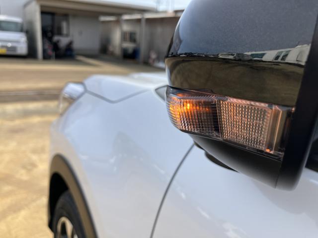 ライズ（新潟県新潟市南区）画像33