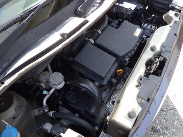 モコ（新潟県新潟市中央区）