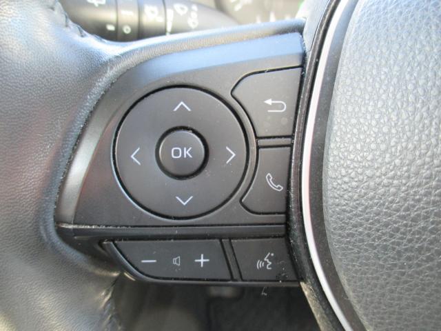 カローラツーリング（新潟県新潟市西区）